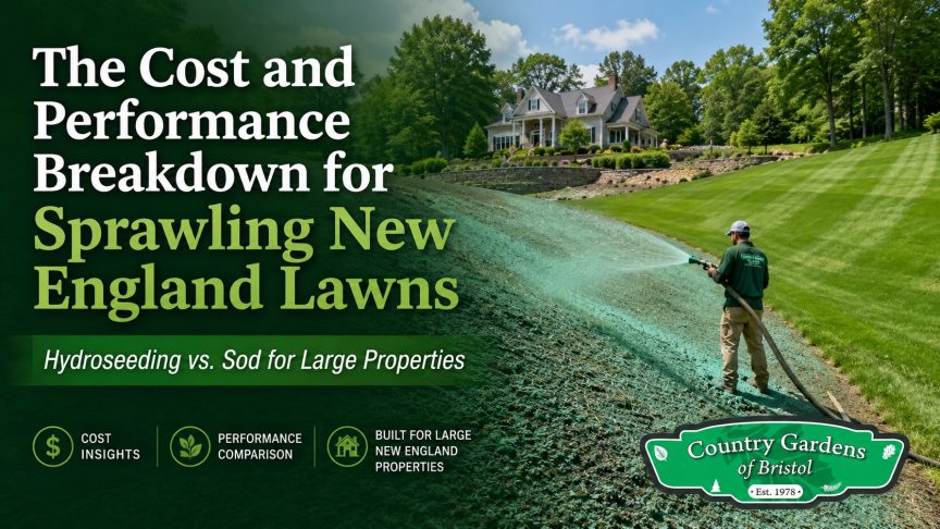 Hydroseeding Cost and Performance Breakdown for Sprawling New England Lawns