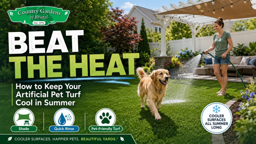 Beat the Heat: How to Keep Your Artificial Pet Turf Cool in Summer