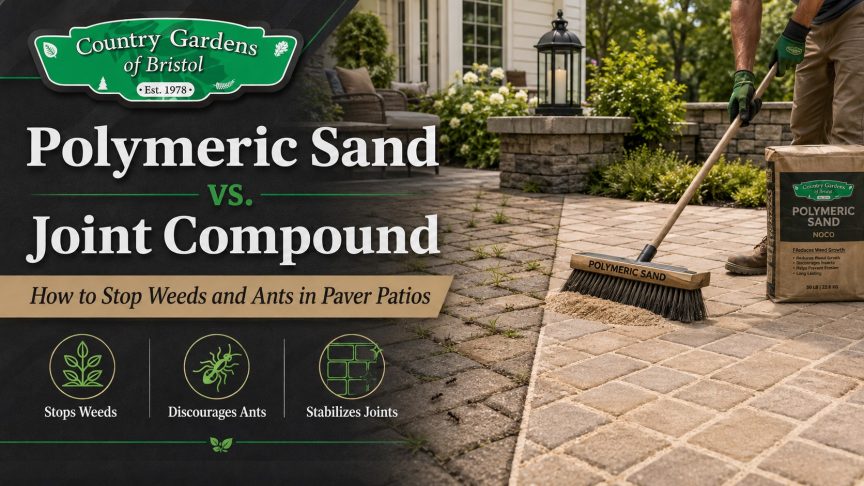 Polymeric Sand vs. Joint Compound: How to Stop Weeds and Ants in Paver Patios