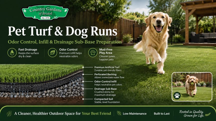 Artificial Turf for Dogs in CT: Cost, Drainage Base & Odor Control Guide